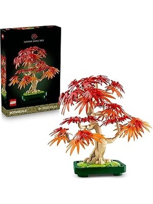 Starseven Botanicals Japon Kırmızı Akçaağaç Bonsai Ağacı 10348 - Kırmızı Kehribar Sarısı Yapraklara S