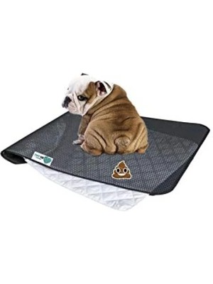 Esranın Dünyası Yıkanabilir 3 Katmanlı Köpek Çiş Pedi Seti (90CM x 60CM)