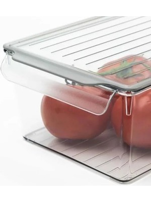 Esranın Dünyası Kapaklı Pet Buzdolabı Düzenleyici, Orta Boy