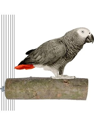 Esranın Dünyası Ağaç Kütük Papağan Tüneği, 17 cm