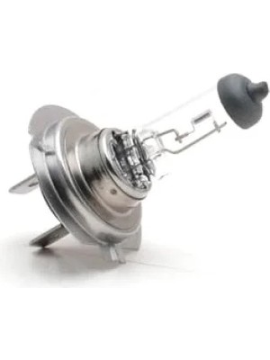 Esranın Dünyası 12V 55W Halojen H7 Ampul