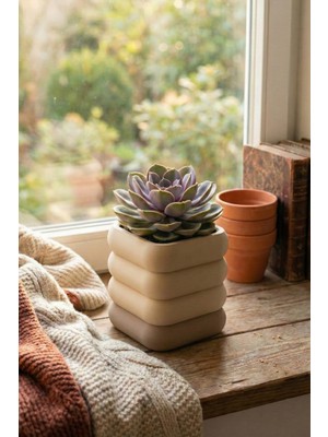 Puffin Design Fillet Saksı