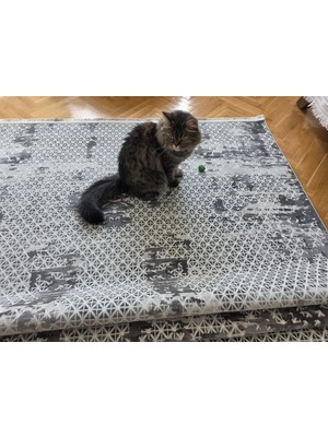 Elvey Home Bambu Krem Gri Gerçek Bambu Kadife Ince Sık Dokuma Özel Kesim Salon Koridor Oturma Odası Halısı