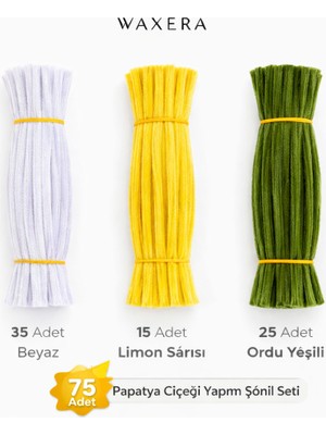 Waxera Papatya Çiçeği Yapım Şönil Seti – 75 Adet – Beyaz, Limon Sarısı ve Ordu Yeşili – Hobi ve El Işi Için Şönil