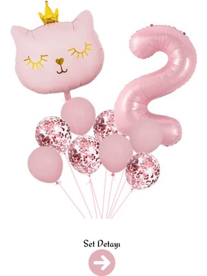 Feyza Design 2 Yaş Retro Pembe Kedi Konfeti Temalı Balon Seti