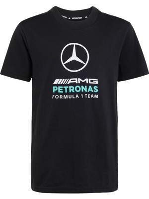 Adidas Performance KQ8083 Mercedes - Amg Petronas Formula 1 Team Dna Graphıc Tee