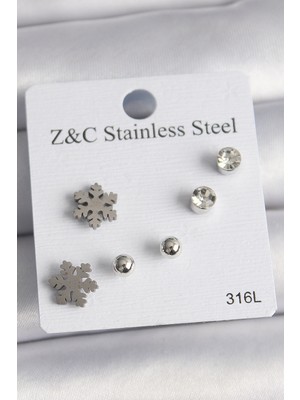 316L Çelik Gümüş Renk Zirkon Taşlı Kar Tanesi Model Kadın Küpe Seti - Lisinya