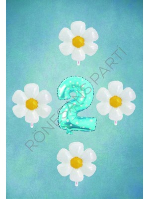 Feyza Design Mavi Rakam ve Papatya Folyo Balon Seti Yaş 2