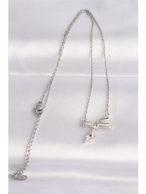 TE Dükkan Buğz 316L Çelik Zincir Gümüş Renk Zirkon Taşlı Kalp Detay Fiyonk Kolye - Buğz