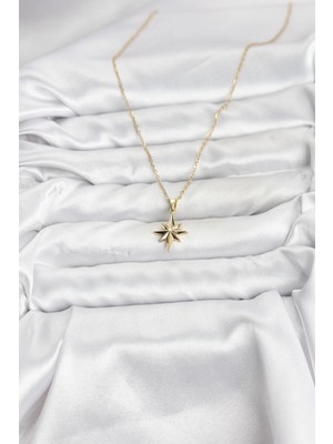 Alvo Store Buğz 316L Çelik Zincir Gold Renk Kutup Yıldızı Model Kadın Kolye - Buğz
