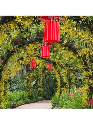 Kırmızı Ağaç Feneri - Bahçe Aydınlatması
