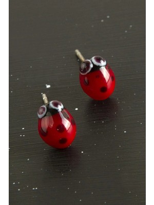 Hsc Bilişim Uğur Böceği Cam Küpe