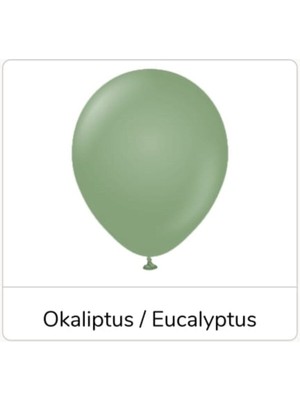 Feyza Design 12" Retro Balon Okaliptus Renk 20 Adet - Çok Renkli Balon Setleri