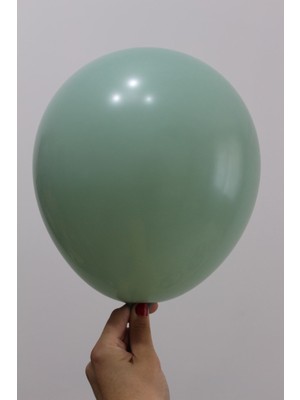 Feyza Design 12'' Yeşil Kış Balon 20 Adet - Hobi ve Parti Malzemeleri