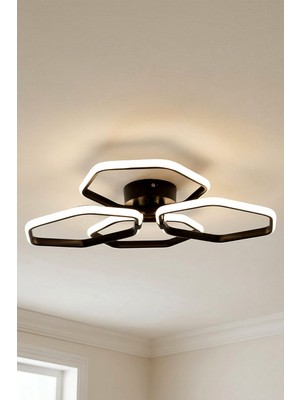 TERRA lighting Slava Model Modern Plafonyer,3 Renk Yanabilen Power LED Avize, Salon Oda Mutfak Hol Avize