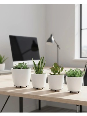 İlk El Grup 4’lü 3D Beyaz Minimal Dekoratif Vazo Ayaklı Saksı Takımı