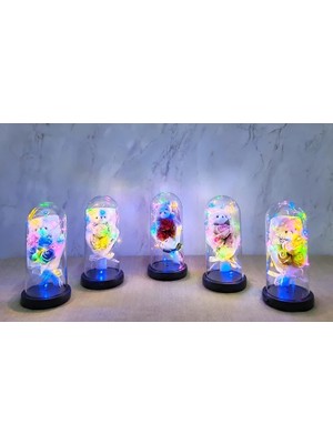 İlk El Grup Işıklı Müzikli Fanus Içinde Sevimli Ayıcıklı Gül Buketi