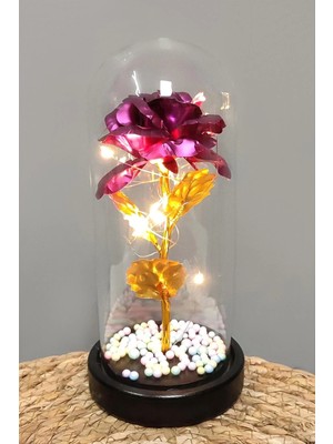 İsmiyle Al Çiçek Işıklı LED Fanus