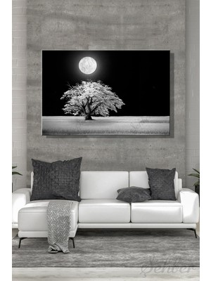 Şehber Yatay Kanvas Duvar Tablosu Tekli Salon Mutfak Yatak Odası Ofis Beyaz Ağaç ve Dolunay