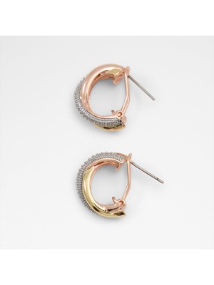 Aldo Haleteriel Kadın Küpe - Karışık