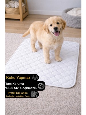 Senpai Petsafe Kapitone Sıvı Geçirmez Yıkanabilir Kedi Köpek Çiş Pedi Pamuklu Ev Içi Eğitim ve Koruyucu Ped