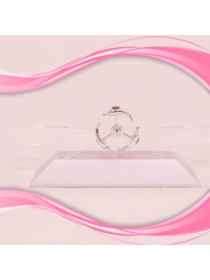 Hobilinka  Dekoratif Masa Üstü Obje Manyetik Kinetik Orbital Dönen Yunuslar