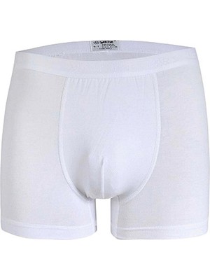 Hobilinka Star 103 Modal Boxer