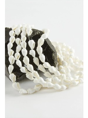 Hobilinka Istiridye Deniz Kabuğu 1 Dizi