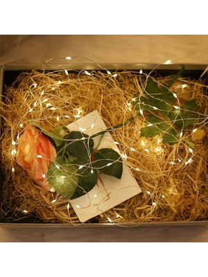 Hobilinka Peri LED Işık 3 Metre Gün Işığı Dekor Lambası 28 Ledli