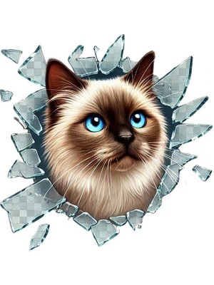 Moresun Buğz Fulcar Siamesse Araç Stickerı
