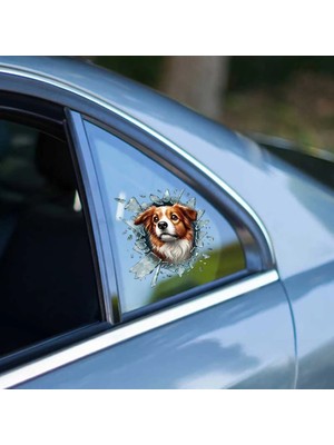 Moresun Buğz Fulcar Australian Shepherd Araç Stickerı
