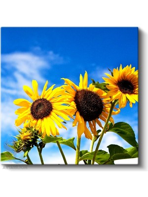 Artarilion Kare Kanvas Tablo Hd Dijital Baskı Salon Ofis Tablosu Kanvas Ay Cicekleri ve Gokyuzu Duvar Dekorasyon