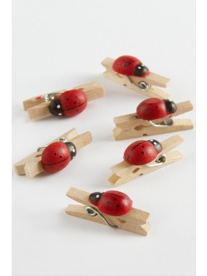 Zero Land Streozd 1 Adet Uğur Böceği Süs Mandal-Kahverengi