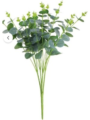 Miha Deco Okaliptus Yeşil Dekor ve  Aranjman Çiçeği