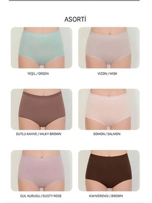 Berrak 11656 Toparlayıcı Külot (1 Adet )-Pastel-2xl