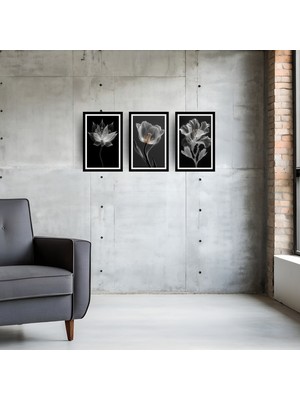 TASARIM ŞEYLER X-Ray Florals: 3’lü Siyah Beyaz Modern Çiçek Görünümlü Tablo Seti 1
