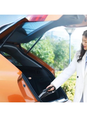 Balkan Grup 5 Başlıklı Araç Süpürgesi