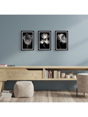 TASARIM ŞEYLER X-Ray Florals: 3’lü Siyah Beyaz Modern Çiçek Görünümlü Tablo Seti 2