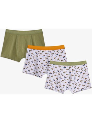 Penti Haki Erkek Çocuk Dino In The Field 3'lü Boxer