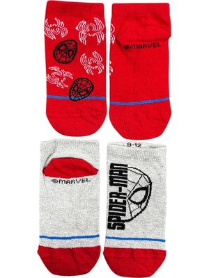 CNS Concept Örümcek Adam Ikili Çocuk Çorap (1) 21-25 Numara