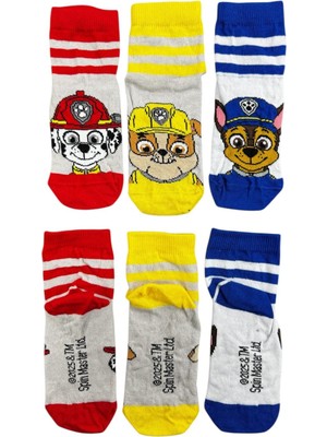 CNS Concept Paw Patrol Üçlü Çocuk Çorap 24-29 Numara