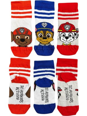 CNS Concept Paw Patrol Üçlü Çocuk Çorap 19-23 Numara