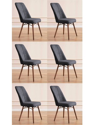 Yonga Concept Karegold Sandalye 6 Adet