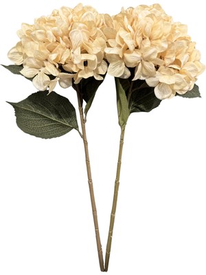 Lara Decor Krem Soft 2'li Ortanca Çiçek