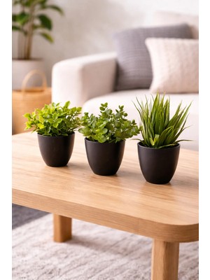 Binbirreyon 3 Adetli Saksılı Yapay Çiçek Çap:9cm ME152
