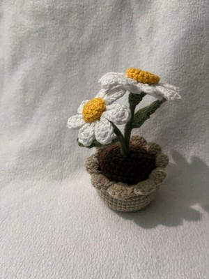 Amigurumi Dekoratif Hediyelik Saksıda Papatya Çiçek
