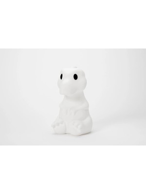 Mr. Maria Rena Lamba First Light