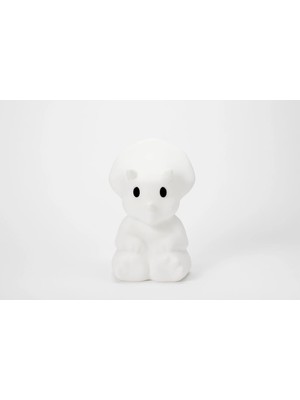 Mr. Maria Mira Lamba First Light