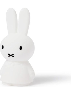 Mr. Maria Aydınlatma, Miffy Shines