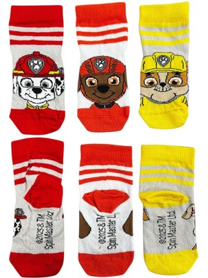 CNS Concept Paw Patrol Üçlü Çocuk Çorap 16-19 Numara